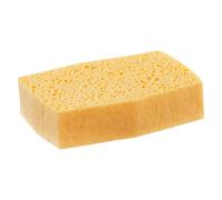 Spontex éponges Azella N°6 (Lot de 10)