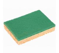 Spontex tampons-éponges Sponrex vert (Lot de 10)