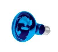 SPOT COULEUR DISCO - BLEU 60W - R80
