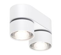 Spot inclinable LED wi4-ab-2ov mat + convertisseur LxWxH 17.6x7.6x9.7cm/DALI dimmable