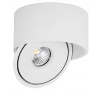 Spot LED en Saillie COB 30W Rond ø176mm Orientable CCT Blanc - 3000K/4000K/6000K - SILAMP