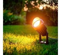 Spot LED Extérieur 6W sur Piquet Palm EasyFit 12V