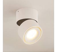 Spot LED pour plafond Arcchio Rotari, blanc, 1 lampe, 946 lm Rotari Arcchio, dimmable, blanc, Couloir, Aluminium, Moderne, Plafonnier