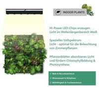 Spot LED Venso, blanc, 60 cm, angle de diffusion 60°, pour rails électriques. Lampe pour plantes d'intérieur, éclairage LED pour murs végétalisés et façades, lumière LED à spectre complet pour la croi
