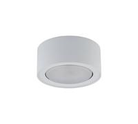 Spot Plafond Flea En Acier, Blanc