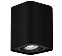 Spot plafond saillie noir mat GU10 1x Rabalux 2049