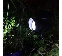 Spot solaire jardin 50 lumens