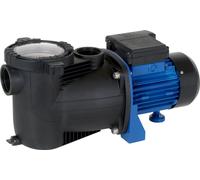 SPP 300 F Pompe de filtration pour piscine