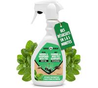 Spray Anti-Fourmis, Araignées, Poissons d'Argent et Anti-Cafards 500 ml - Insecticide Puissant Maison Intérieur