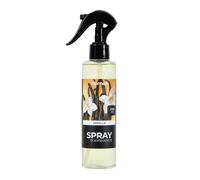 Spray d'Ambiance Essentiel II 200ml Vanille