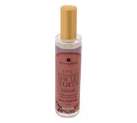 Spray d'Ambiance Nibi 100ml Fruits Rouges