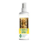 Spray fixateur pour l'art - Revêtement de peinture 120 ml, Spray fixateur