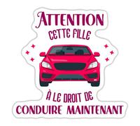 Spreadshirt Permis De Conduire Humour Cadeau Autocollant Sticker, 10 x 10 cm, blanc mat