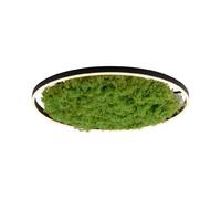 Spring Plafonnier LED rond Ritu - Vert