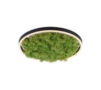 Spring Plafonnier LED rond - Vert