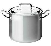 Spring Ressort de Brigade Premium 415580622 Cocotte avec Couvercle 22 cm
