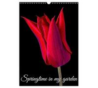 Springtime in my garden (Wall Calendar 2027 DIN A3 portrait), CALVENDO 12 Month Wall Calendar: Photo of my flowers