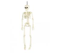 Squelette Articulé Halloween de 40 cm - Décoration Effrayante