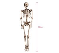Figurine d'Halloween Squelette de Luxe 160cm