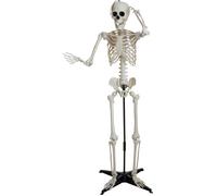 Squelette d'Halloween EUROPALMS, debout, 150 cm - Décoration Halloween