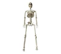 Squelette D'Halloween Squelette Réaliste De Quatre-Vingt-Centimètres Avec | Décoration d'Halloween pour extérieur pour Porche, Jardin, Pelouse, Maison Hantée et Décoration In