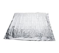 Srliya Film Réfléchissant pour Plantes PETP 210x120cm, argenté, Réflecteur de Lumière de Croissance pour la Croissance des Plantes de Jardin et de Serre