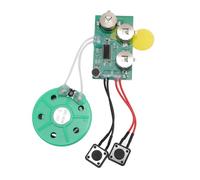 Srliya Module D'Enregistrement Vocal Module Enregistreur de Son Vocal de Carte de Voeux 120 Secondes Enregistrement de Musique ou Jouer Une Fois 3 Piles LR44 pour Car