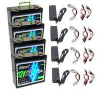 SSCYHT Batterie au Lithium 12 V Batterie à décharge Profonde Batteries LiFePO4 Batteries de Remplacement pour Applications solaires et Hors réseau, sondeurs avec BMS,12v20ah 4pack