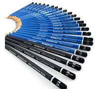 Staedtler – Crayons à dessin Mars Lumograph – Boîte métal 20+4 (9B–9H, 8B/6B/4B/2B) – 100 G24 S