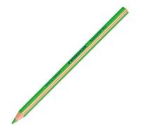 Staedtler Textsurfer Dry - Vert