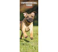 Staffordshire Bull Terrier Calendrier fin 2026