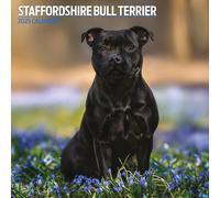 Staffordshire Bull Terrier Calendrier traditionnel 2025