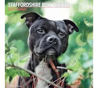 Staffordshire Bull Terrier Calendrier traditionnel 2026
