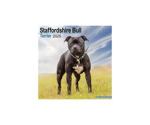 Staffordshire Bull Terrier - Staffordshire Bull Terrier 2025 - 16-Monatskalender