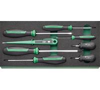 Stahlwille Jeu de tournevis TCS 4620/4640/4734/10554/8 8 pces