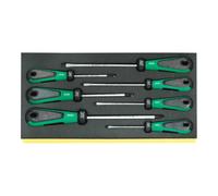 Stahlwille TCS 4820/4830 Jeux de tournevis 3K DRALL en plateau TCS 7 pcs. Quantité:1