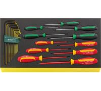 Stahlwille TCS WT 4650-4665-1 Jeu de tournevis