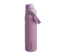STANLEY Aerolight IceFlow Fast Flow Gourde Sport Isotherme 0.6L - Froid Pendant 10 Heures - Couvercle Étanche et à Écoulement Rapide - Lavable au Lave-Vaisselle - Sans BPA - Fog Metallic