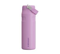 Stanley 1913 Flip Straw Gourde Isotherme 0.7L - Lilac | Avec Paille - 10 Heures Froide - 3 Jours Glacée - Acier Inoxydable - Sans BPA - Etanche - Lavable Au Lave-Vaisselle - Thermos