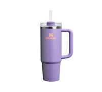 STANLEY 1913 Quencher Mug Isotherme avec Paille 0.89L - Periwinkle Shimmer | H2.0 FlowState - Froid Pendant 9 Heures - Glacé Pendant 40 Heures - Thermos Lavable au Lave-Vaisselle - Gourde Inox Sans BPA