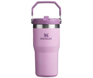 Stanley IceFlow Gobelet en acier inoxydable avec paille - Bouteille d'eau isotherme pour la maison - Gobelet réutilisable avec paille anti-fuite - Froid pendant 12 heures ou glacé pendant 2 jours, 591