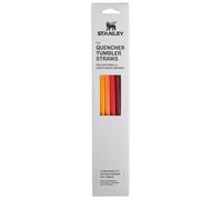 Stanley Lot de 4 pailles réutilisables sans BPA, réutilisables pour boire proprement, parfaites pour les gobelets Stanley de 887,5 ml, violet