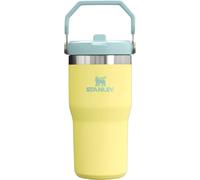 Stanley tasse Iceflow 1012044048