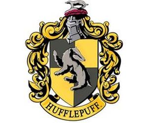 STAR CUTOUTS Blason en carton Maison Poufsouffle Poudlard Harry Potter 61X48 CM Multicolors G