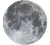STAR CUTOUTS Blason mural en carton Pleine lune et Espace 66 cm Gris G