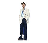 Star Cutouts CS1055 Harry S Silhouette en Carton Grandeur Nature avec Mini icône
