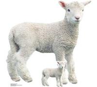 STAR CUTOUTS Figurine en carton - Agneau De La Ferme - Haut 100 cm Multicolors