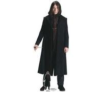 STAR CUTOUTS Figurine en carton Croyance Bellebosse - Les animaux fantastiques Les secrets de Dumbledore acteur : Ezra Miller - Haut 180 cm Multicolors