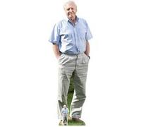 STAR CUTOUTS Figurine en carton David Attenborough 178cm Multicolors G