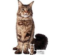 STAR CUTOUTS Figurine en carton Grudge chatte de Booker - Star Trek Discovery Multicolors